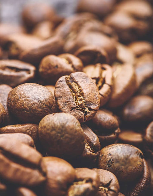 【Scropお試しセット】ゲイシャ2種セット